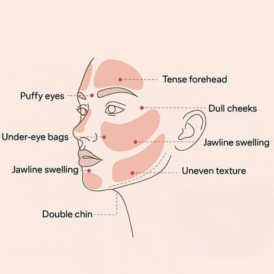 Lymphatic Sculpt Brush