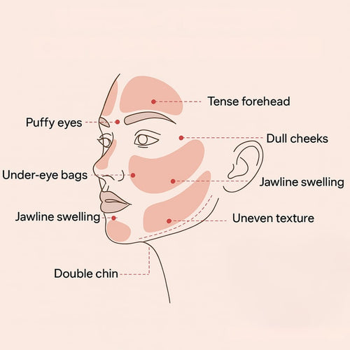 Lymphatic Sculpt Brush