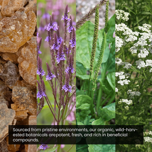 Organic Lymphatic Support Drops